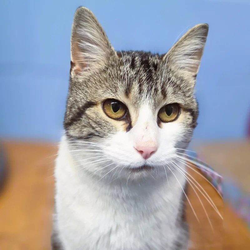 Winifred thumbnail 5