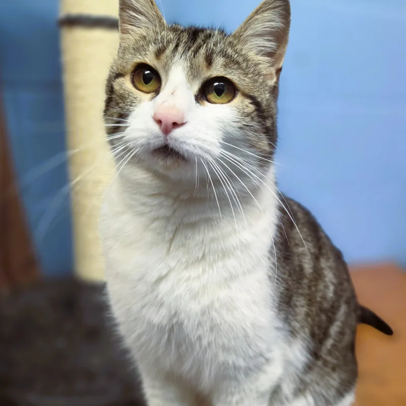 Winifred thumbnail 6