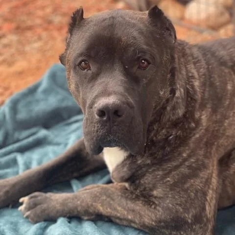 Mama Mel Blanc thumbnail 6