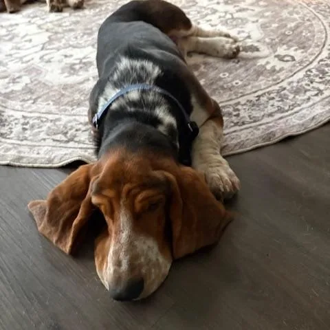 Leroy & Rufus