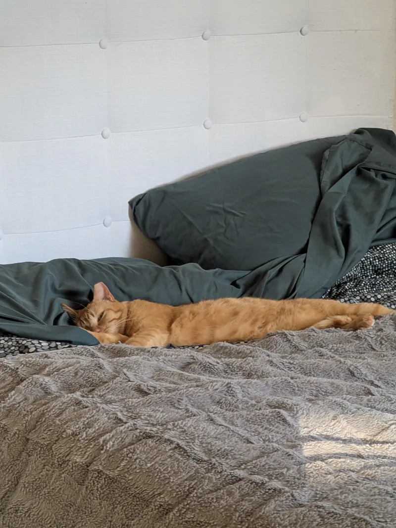 Chicken Nugget thumbnail 3