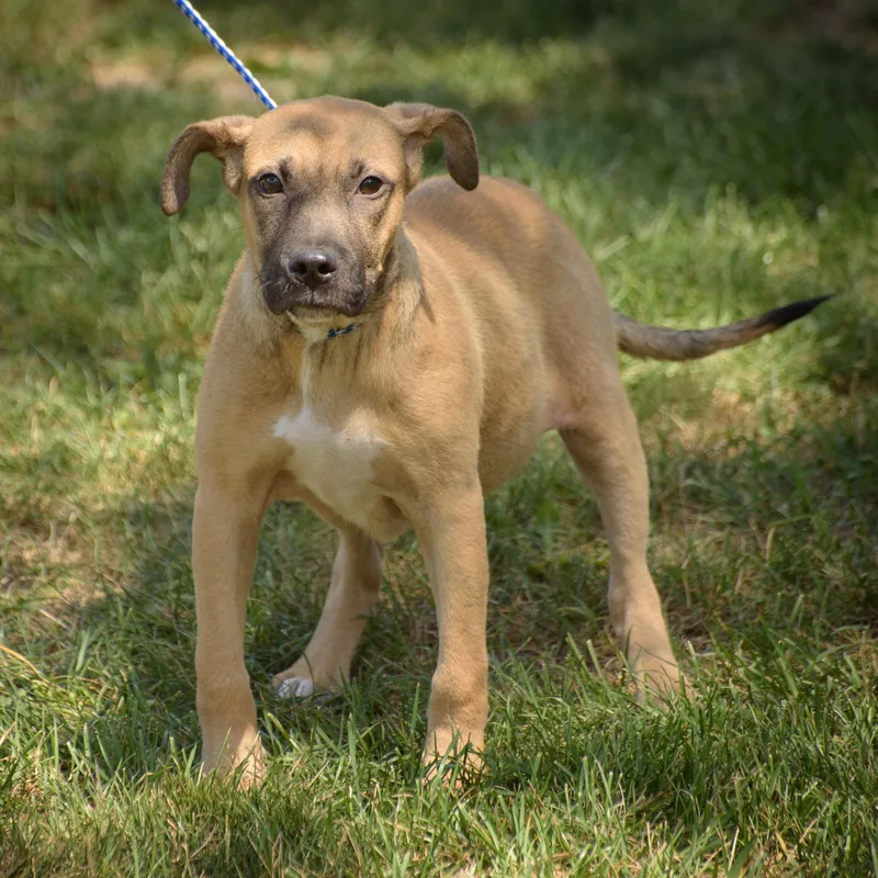 Sebastian thumbnail 2