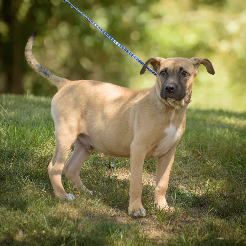 Sebastian thumbnail 3