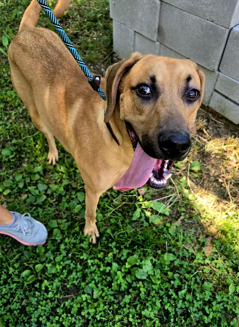 Lane Frost thumbnail 2