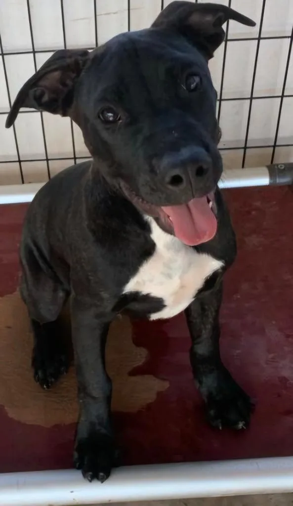 Axel