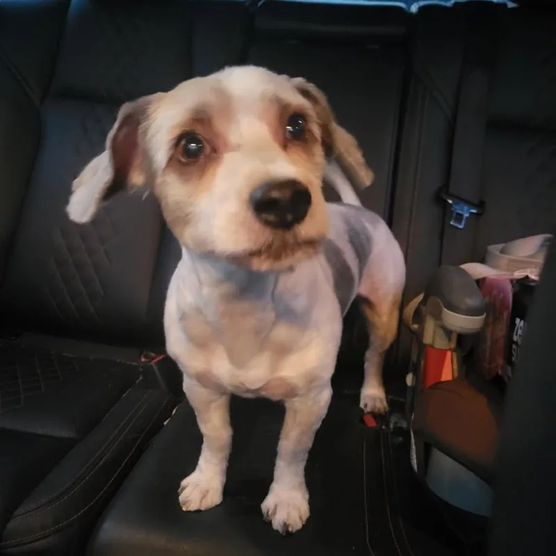 Max