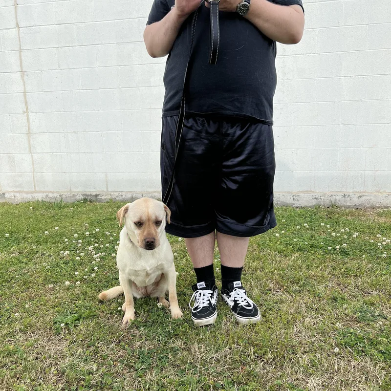 Dixie Mae thumbnail 3