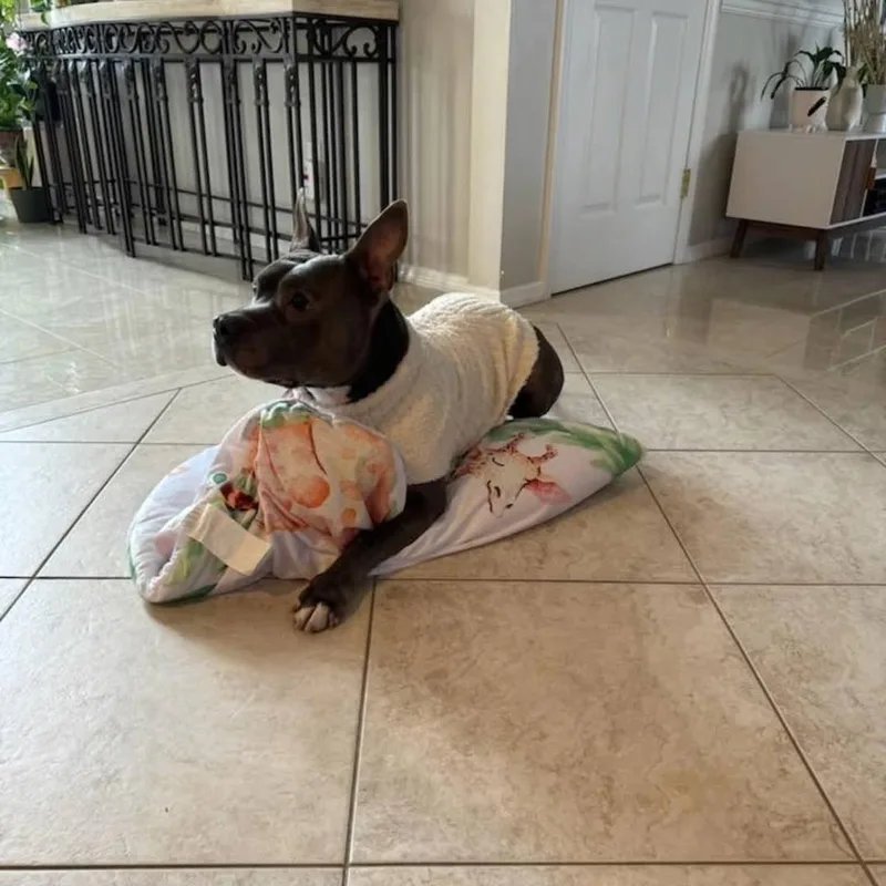 Iron Titus thumbnail 4