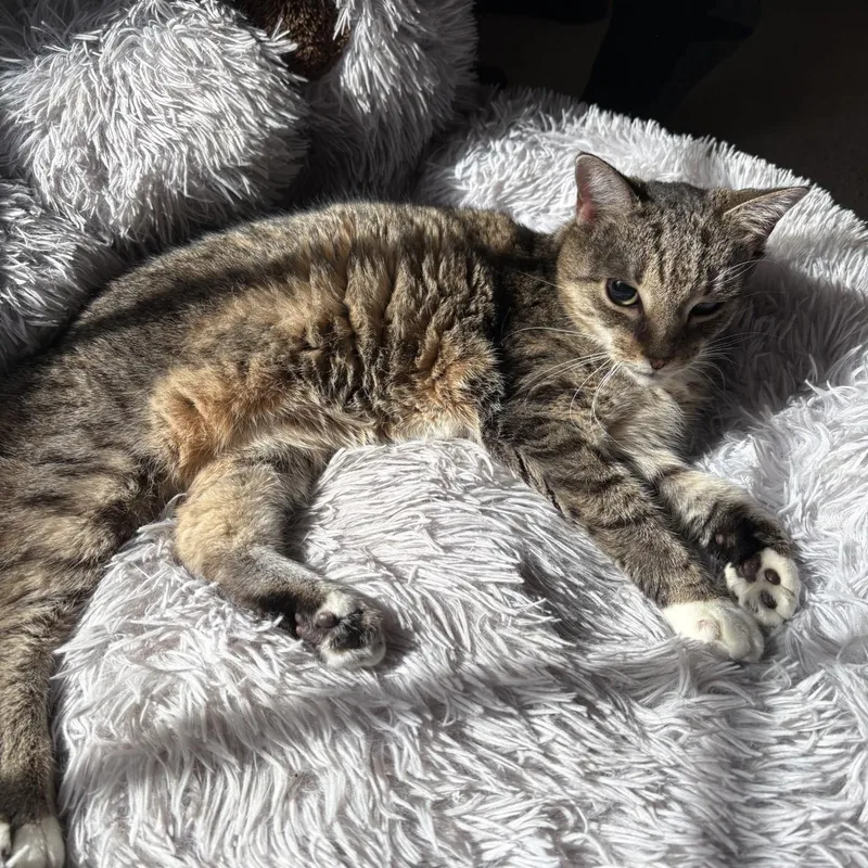 Little Bit thumbnail 3