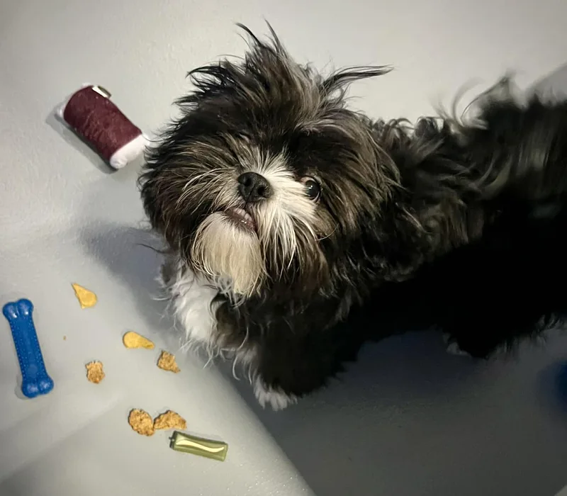 Thor thumbnail 3