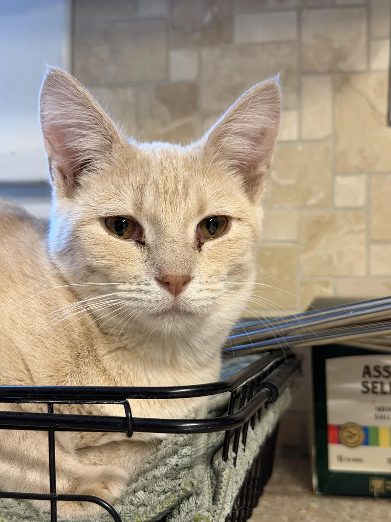 Kurt And Henry thumbnail 3