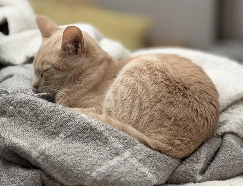 Kurt And Henry thumbnail 4