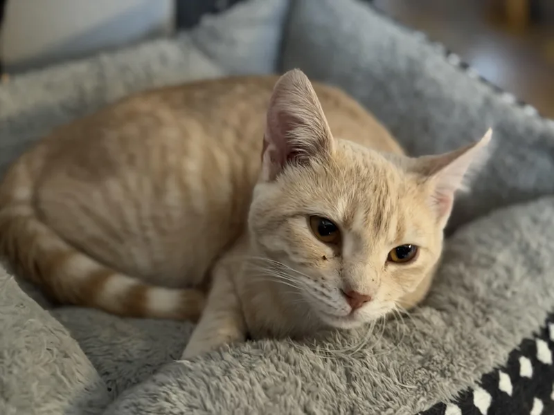 Kurt And Henry thumbnail 5