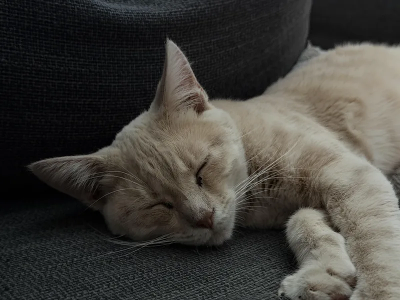 Kurt And Henry thumbnail 6