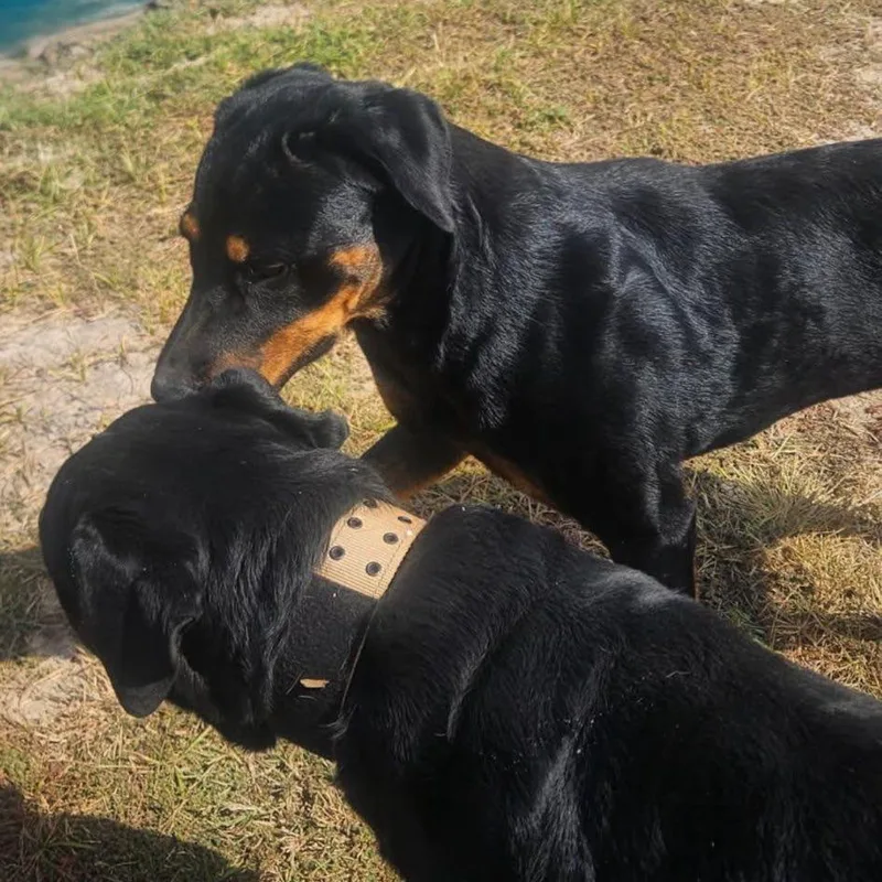 Tallulah thumbnail 3