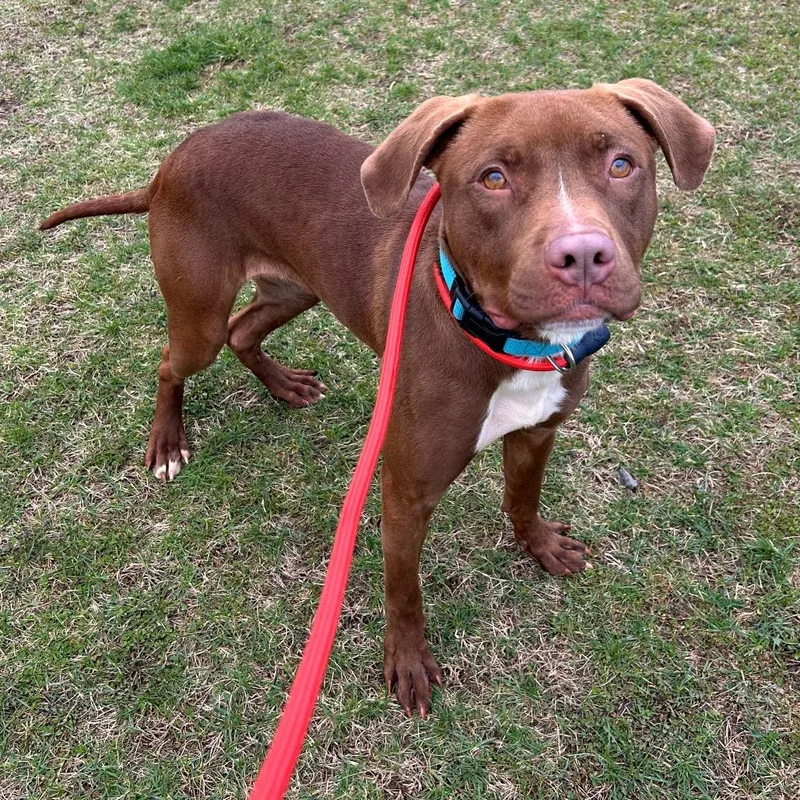 Mary Kate thumbnail 3