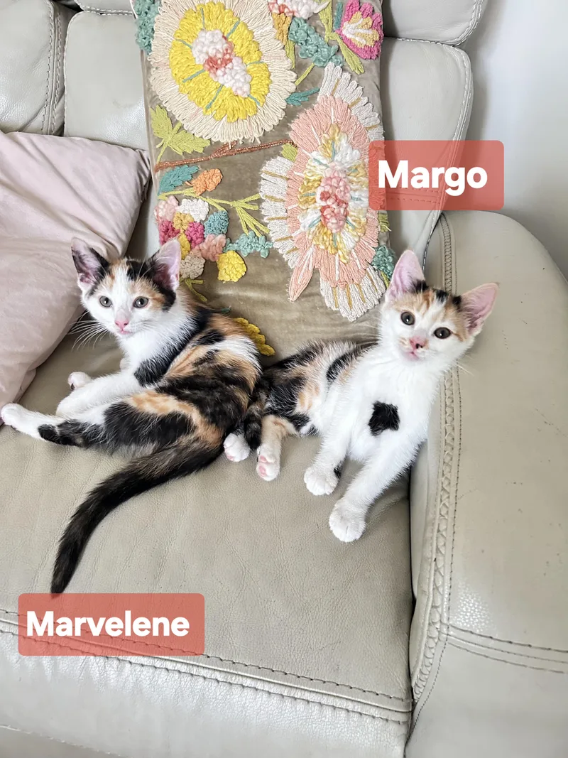 Margo & Marvelene thumbnail 2