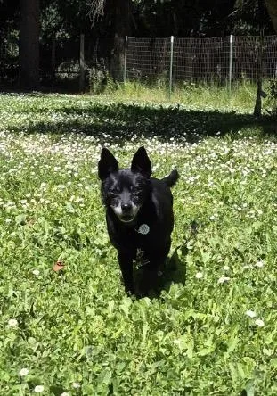 Benny