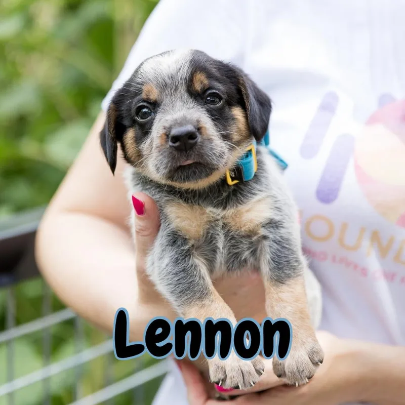 Lennon