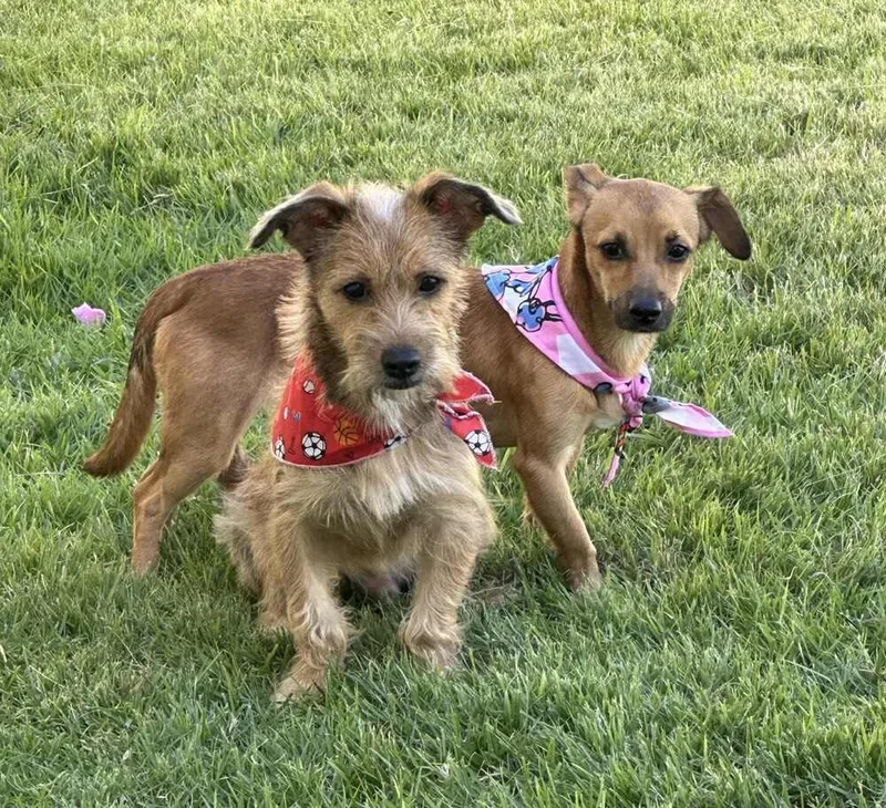 Kevin And Kanny thumbnail 4