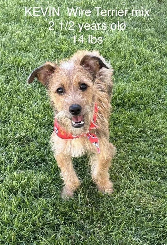 Kevin And Kanny thumbnail 5