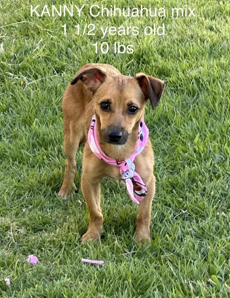 Kevin And Kanny thumbnail 6