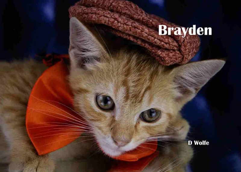 Brayden thumbnail 2
