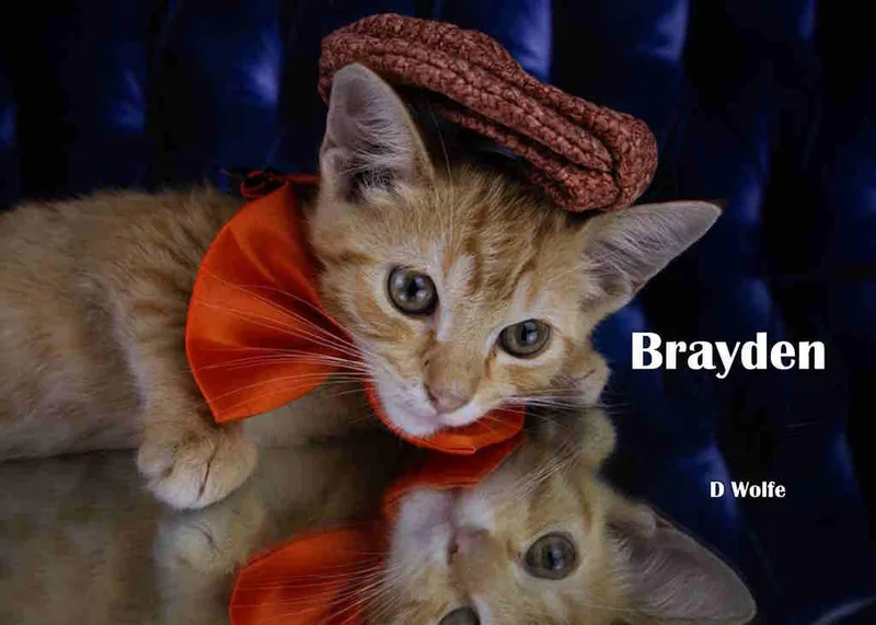 Brayden thumbnail 3