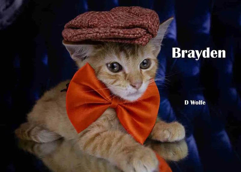 Brayden thumbnail 4