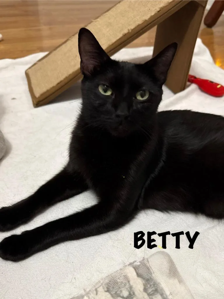 Betty thumbnail 5