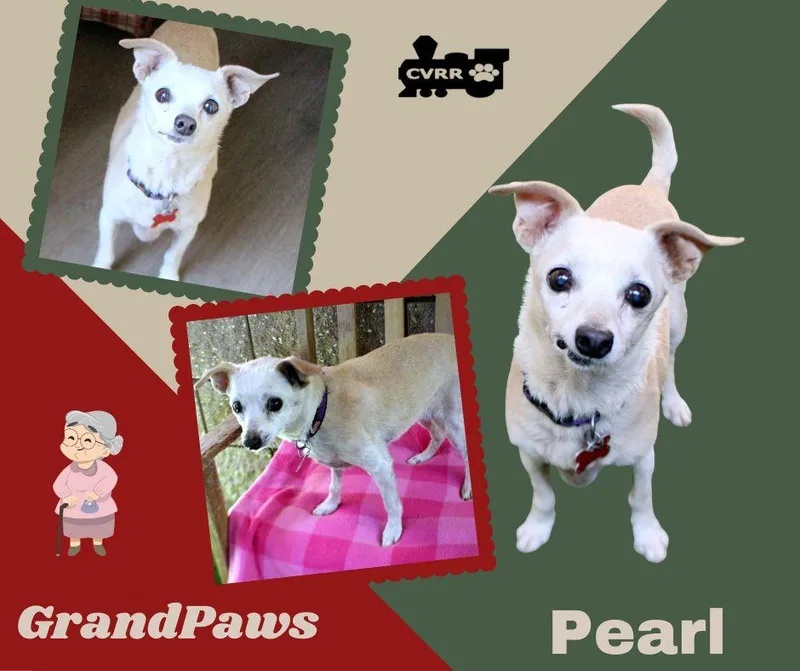 Pearl