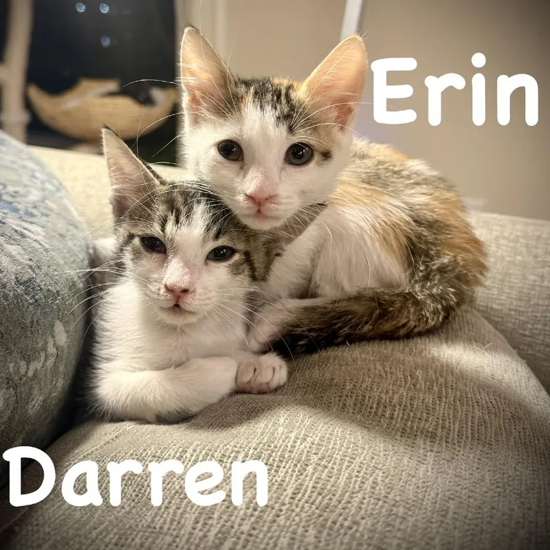 Darren thumbnail 2