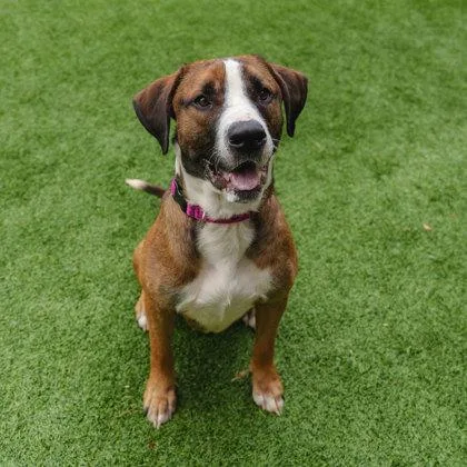 Coltrane thumbnail 3