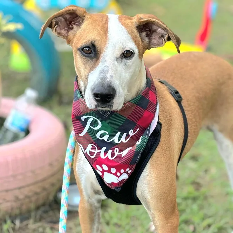 Aziz "ready For Your