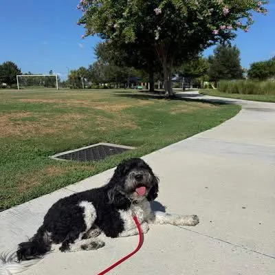 Sammie thumbnail 2
