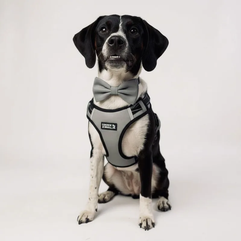 Crawford thumbnail 3