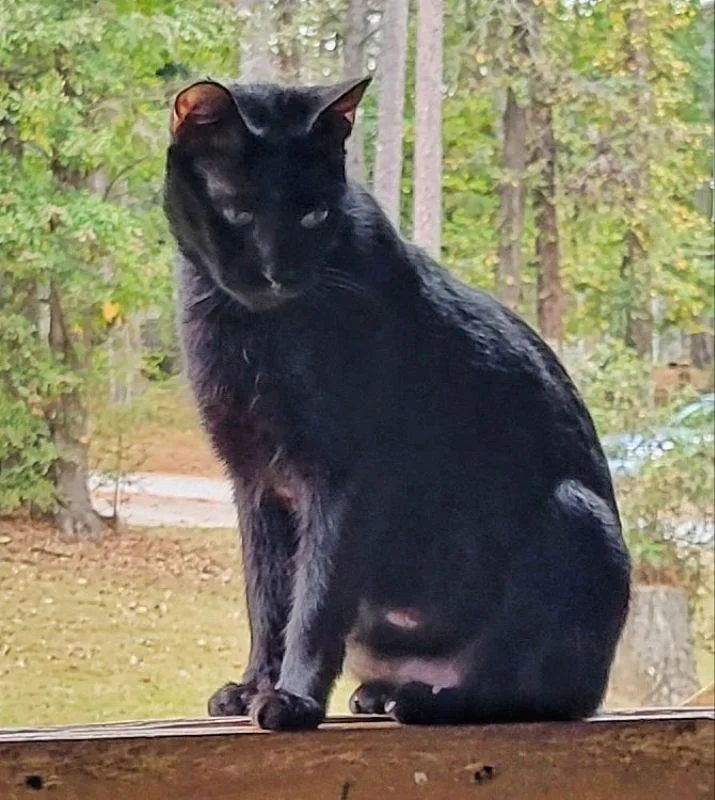 Jezzy  Cp thumbnail 2