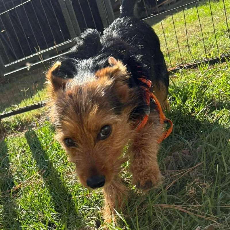 Theo Knox thumbnail 5