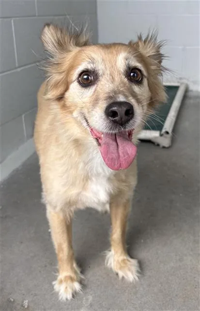 Coco