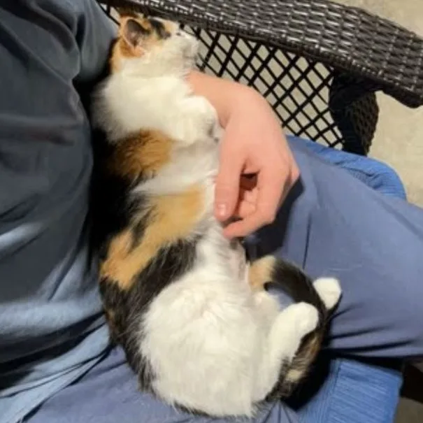 Kiki thumbnail 4