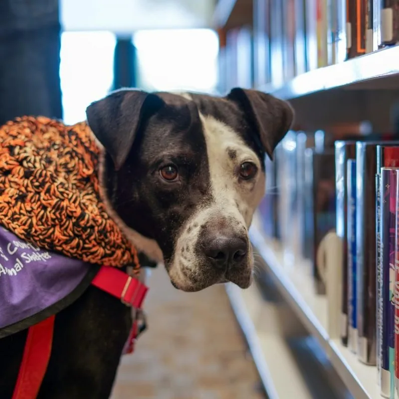 Rap Battle thumbnail 5