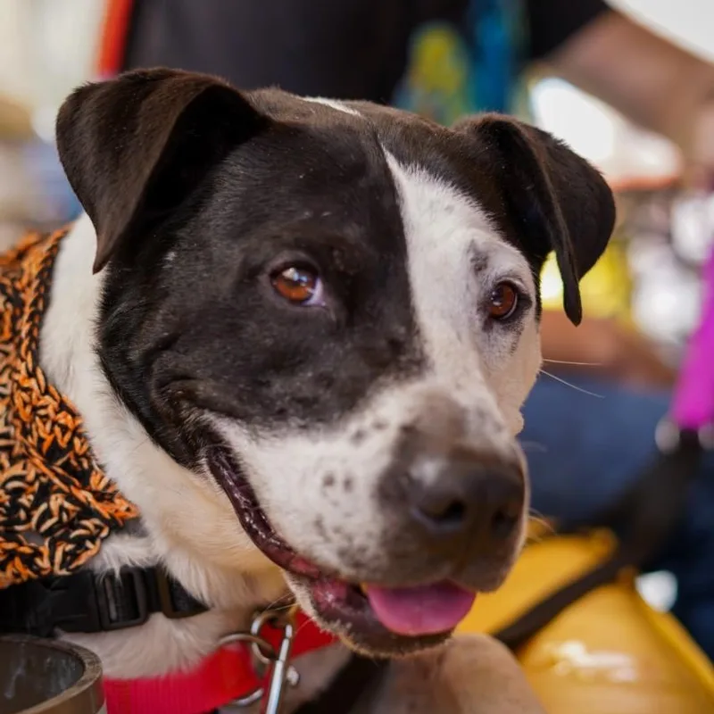 Rap Battle thumbnail 6