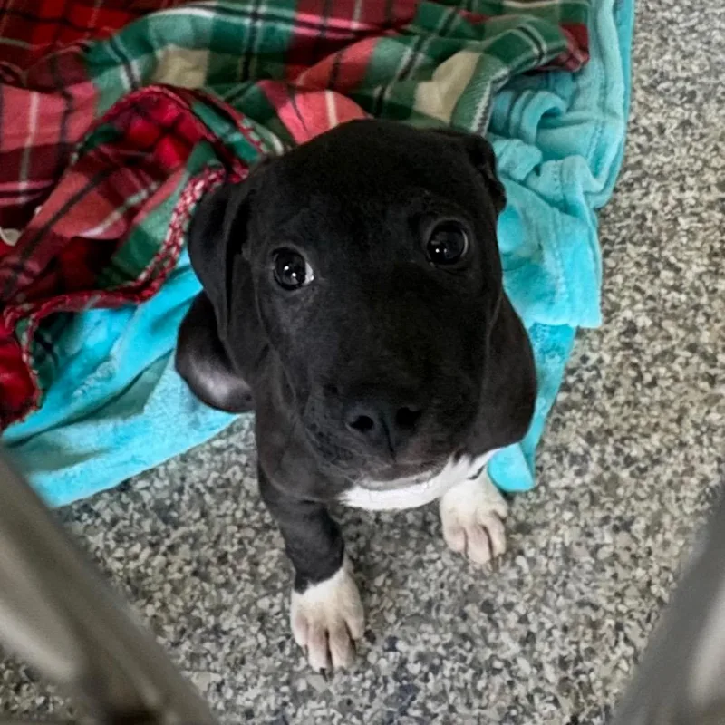 Zoeybird thumbnail 2