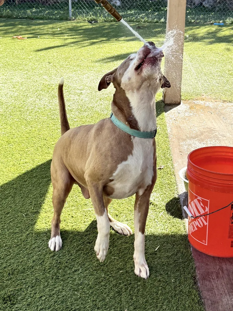 Theodore thumbnail 6