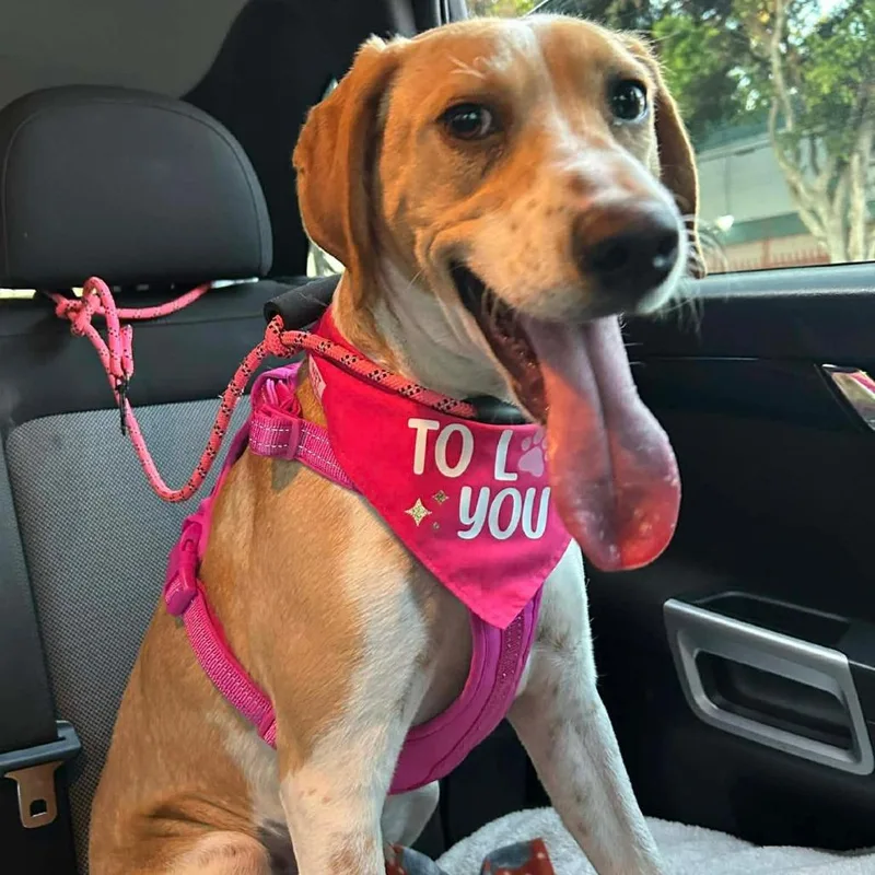 Freckles thumbnail 2