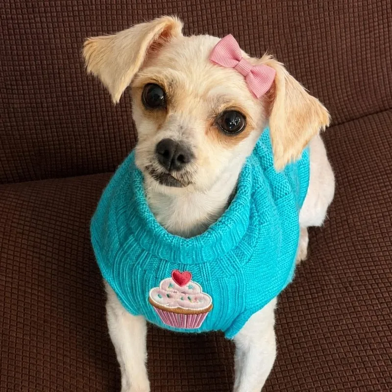 Cupcake thumbnail 2