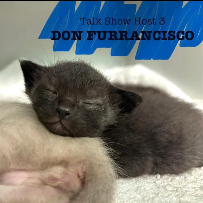 Don Furrancisco thumbnail 3