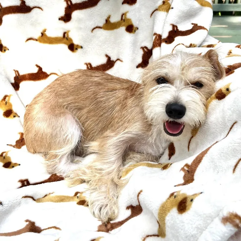 Emmie thumbnail 5