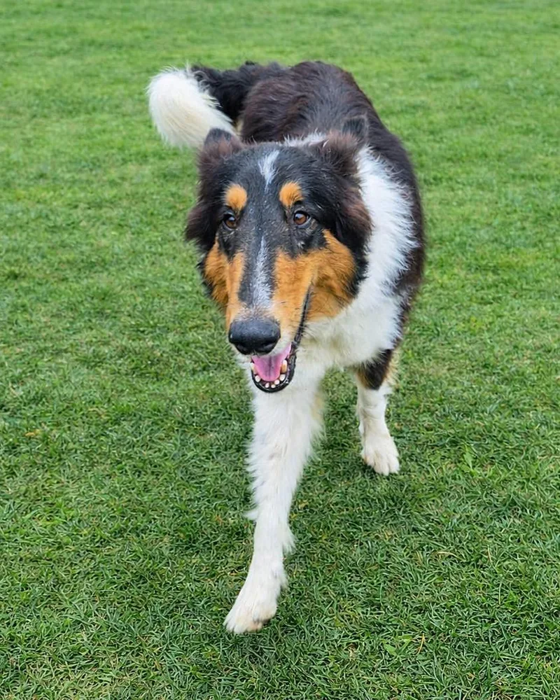 Stash thumbnail 5