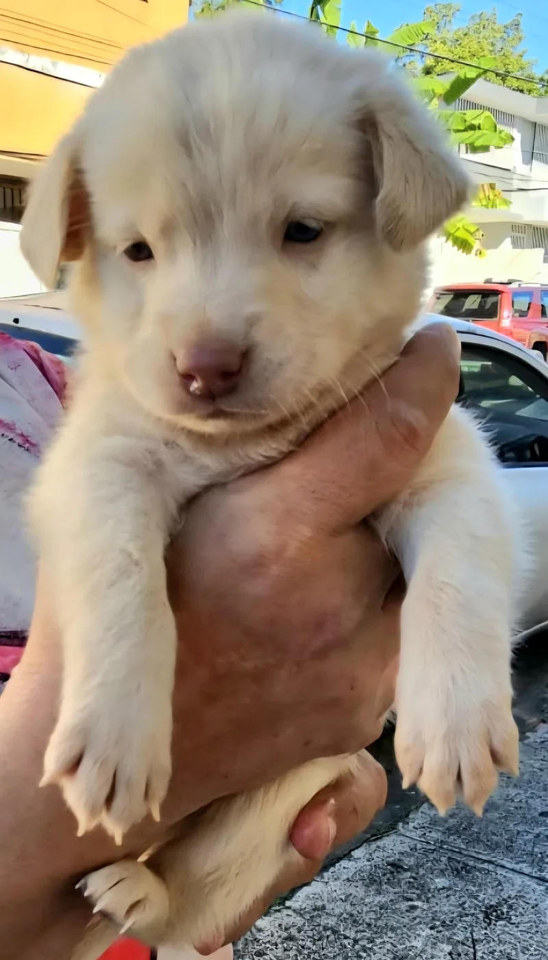 Vito "the Forever Love thumbnail 2